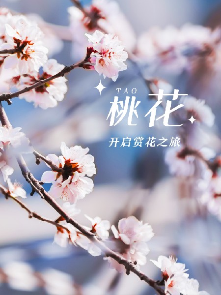 追花指南第三期！別等了 今天就去和桃花撞個滿懷