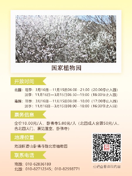 追花指南第六期！杏花雨 楊柳風(fēng) 北京最美的杏花在這里