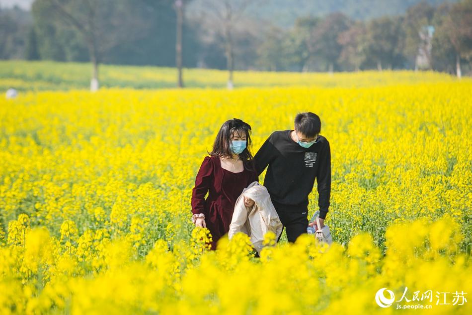 游客觀花賞景。劉列攝