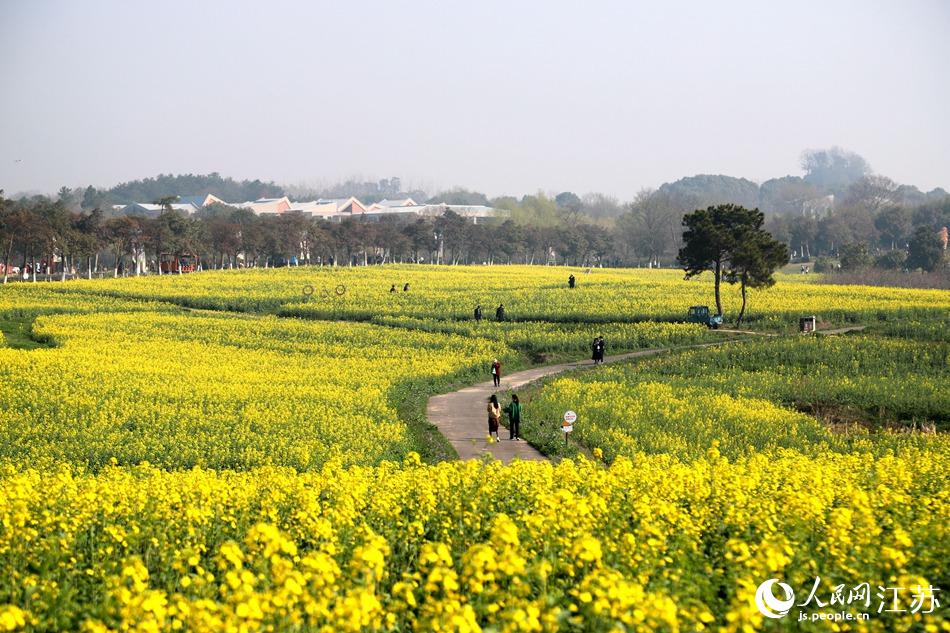 游客觀花賞景。高曉平攝