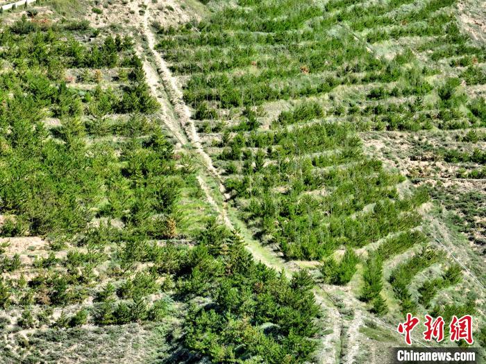 航拍建行青海省分行綠化區(qū)?！∑钤鲚?攝