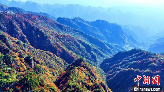 巴山大峽谷彩林迎來最佳觀賞期?！埰?攝