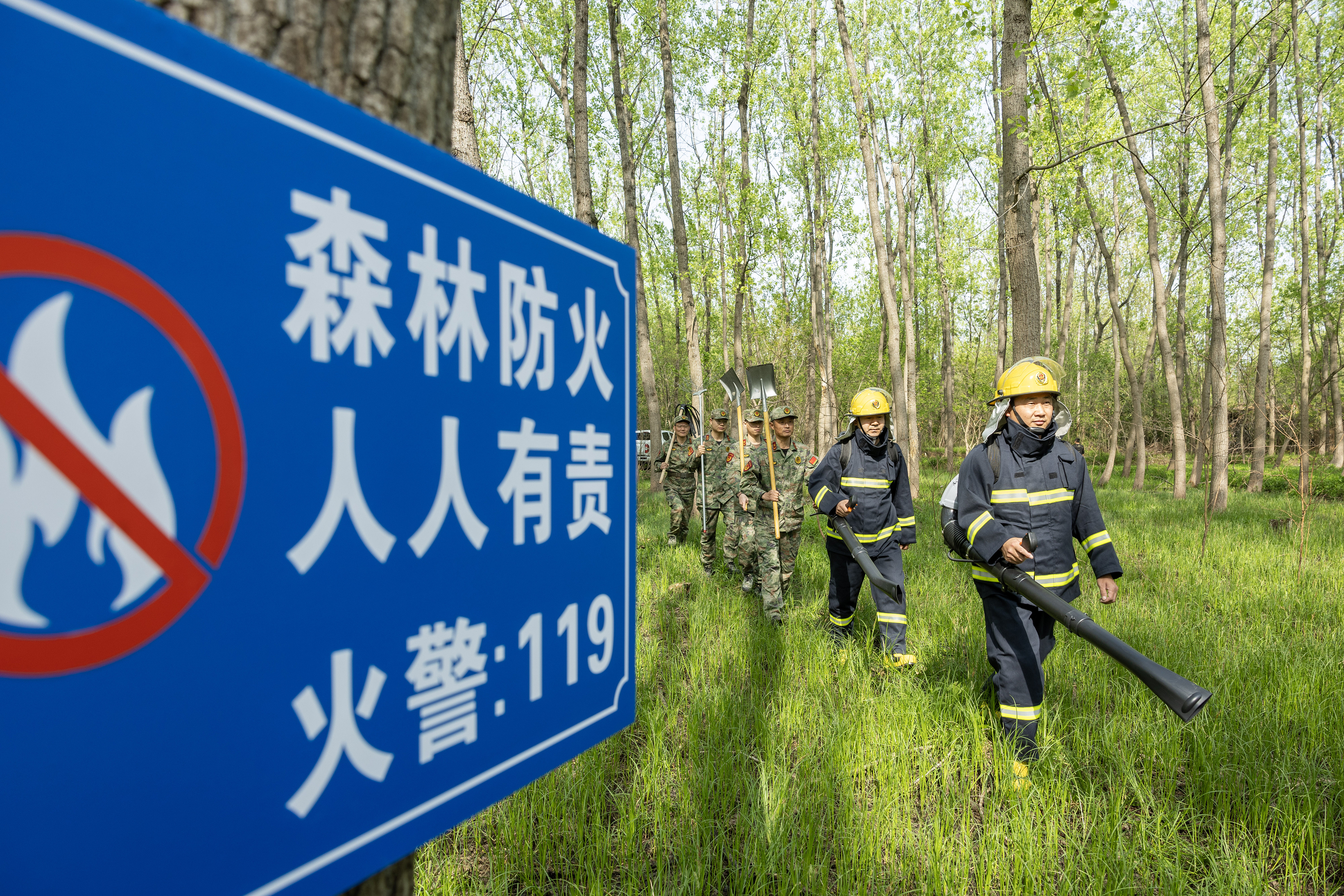 2024年4月9日，合肥市大房郢水庫水源保護(hù)地廬陽經(jīng)濟(jì)開發(fā)區(qū)段，基干民兵正在林間巡查火災(zāi)隱患。