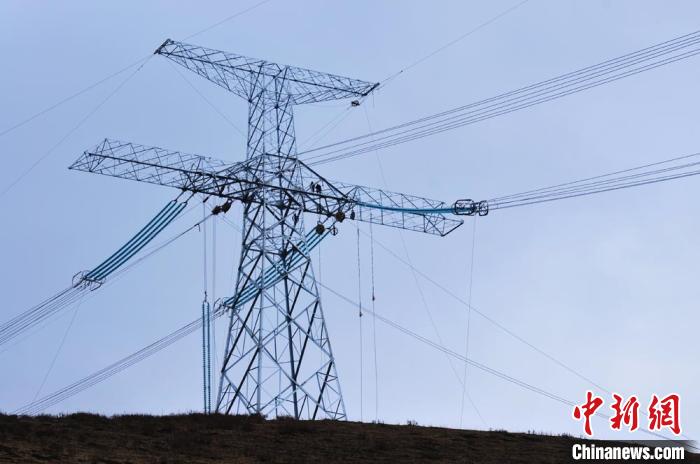 高原藏區(qū)電力線路建設(shè)者：高寒缺氧、扎刺掛彩是常事