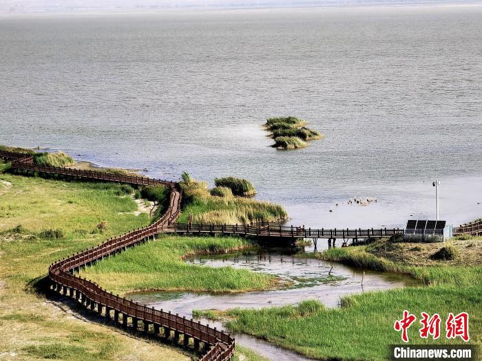 圖為都蘭湖國家濕地公園觀光棧道?！∑钤鲚?攝