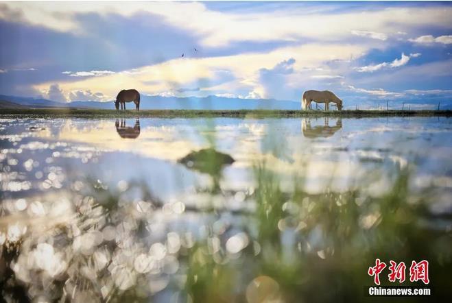 資料圖：那曲市申扎縣境內(nèi)的濕地。李雪峰 攝