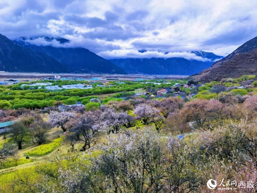 桃花從中的“童話小鎮(zhèn)”。人民網 李海霞攝