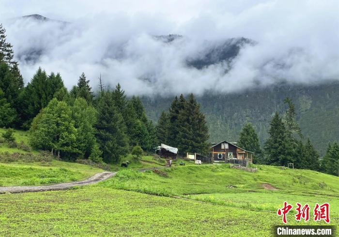 6月10日，魯朗小鎮(zhèn)高山牧場(chǎng)景區(qū)風(fēng)光?！∪轿木?攝