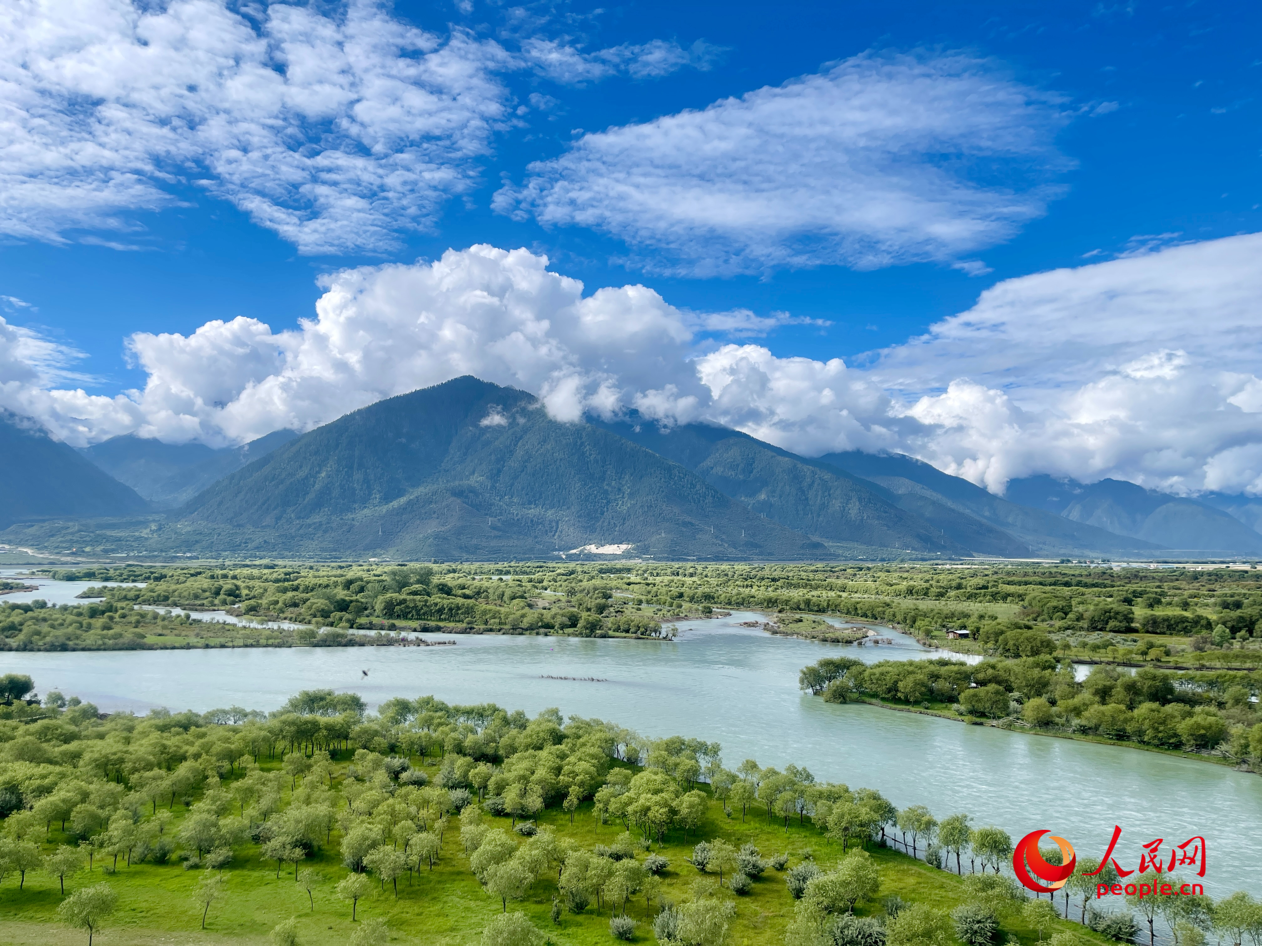 夏日的雅尼國家濕地公園生機盎然，如詩如畫。人民網(wǎng) 周靜圓攝