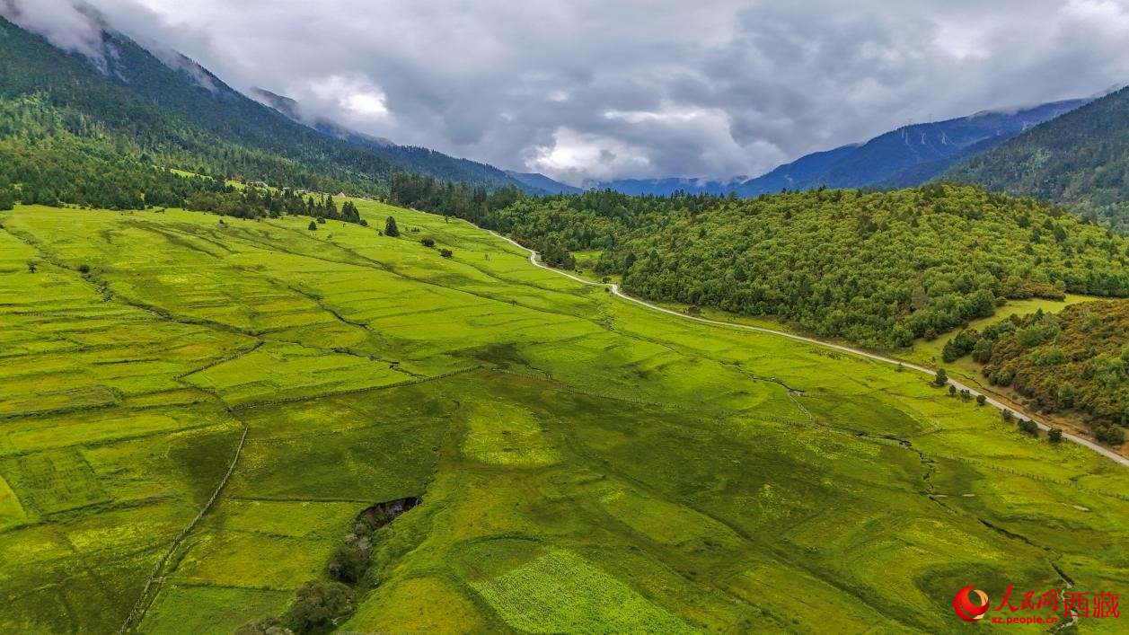 圖為航拍高山牧場(chǎng)鳥(niǎo)瞰圖。人民網(wǎng)記者 次仁羅布攝